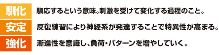 馴化：馴応するという意味。刺激を受けて変化する過程のこと。　安定：反復練習により神経系が発達することで特異性が高まる。　強化：漸進性を意識し、負荷・パターンを増やしていく。